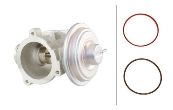 EGR Valve 6NU 010 171-701 Hella