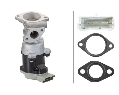 EGR Valve 6NU 010 171-771 Hella