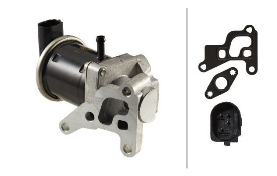EGR Valve 6NU 010 171-831 Hella