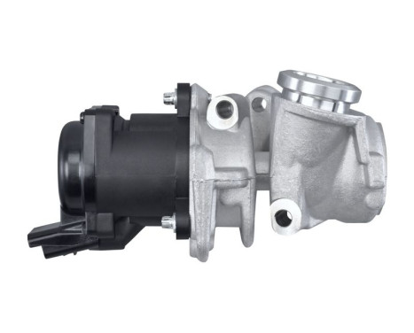 EGR valve 6NU 014 862-071 Hella, Image 4