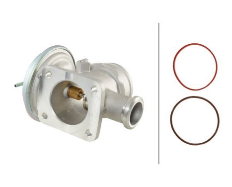 EGR Valve 6NU 014 864-091 Hella