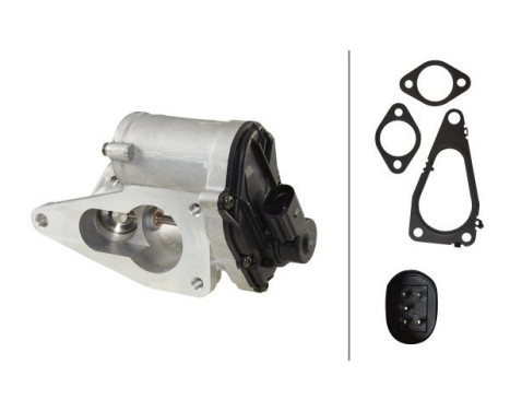 EGR Valve 6NU 014 864-121 Hella