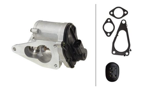 EGR Valve 6NU 014 864-121 Hella