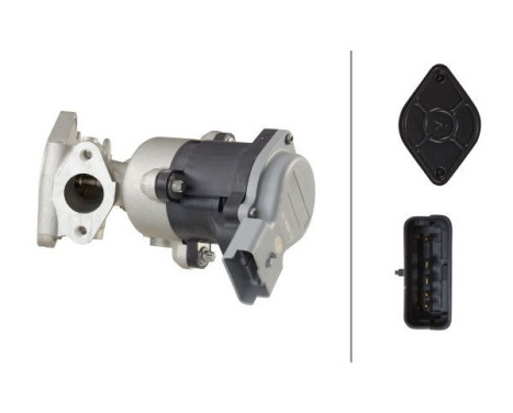 EGR Valve 6NU 014 864-351 Hella