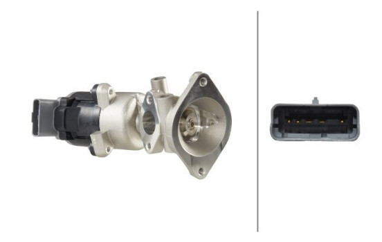 EGR Valve 6NU 014 864-401 Hella