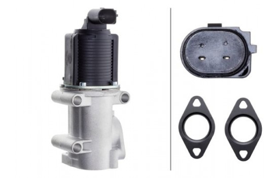 EGR Valve 6NU 014 864-521 Hella