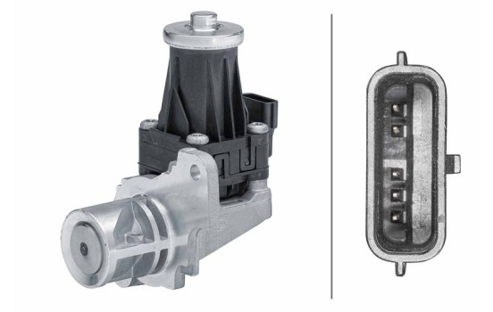 EGR valve 6NU 014 864-691 Hella