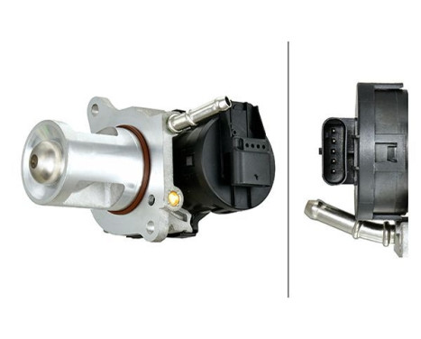 EGR valve 6NU 014 864-931 Hella