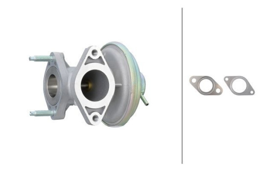 EGR valve 6NU 014 865-541 Hella