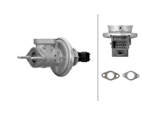 EGR valve 6NU 014 865-791 Hella