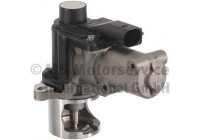 EGR Valve 7.03196.09.0 Pierburg
