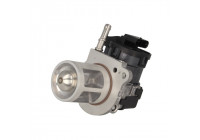 EGR Valve 710095D Wahler