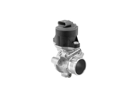 EGR valve 710525D Wahler