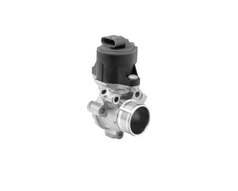 EGR valve 710753D Wahler