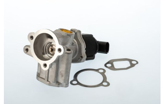 EGR valve 710773D1 Wahler