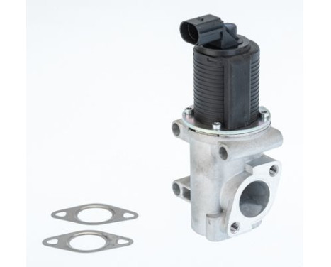 EGR valve 710774D/1 Wahler