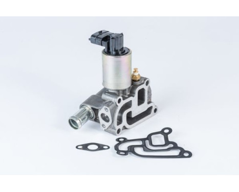 EGR Valve 710775D0 Wahler