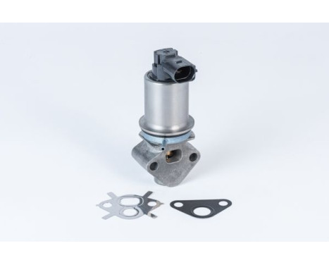EGR Valve 710780D0 Wahler