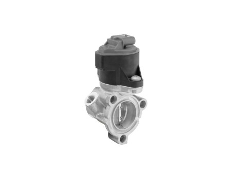 EGR valve 710795D Wahler, Image 2