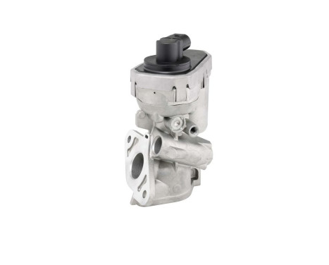 EGR valve 710925R Wahler, Image 2