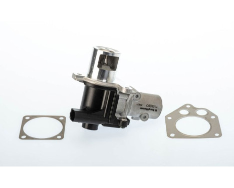EGR valve 710928D Wahler