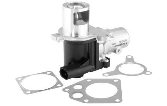 EGR valve 710928D Wahler, Image 2