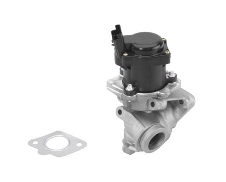 EGR valve 710929R Wahler