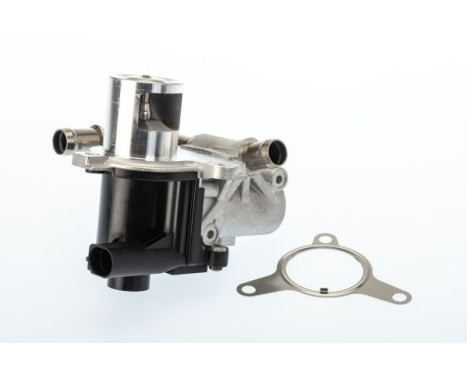 EGR valve 710965D/1 Wahler