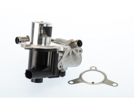 EGR Valve 710965D Wahler
