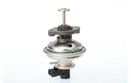 EGR valve 710970D/1 Wahler