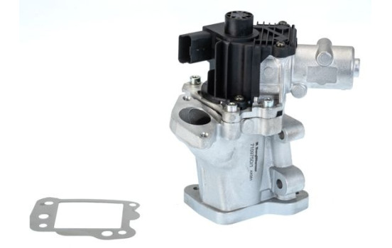 EGR valve 710975D1 Wahler
