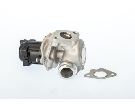 EGR valve 711021D1 Wahler