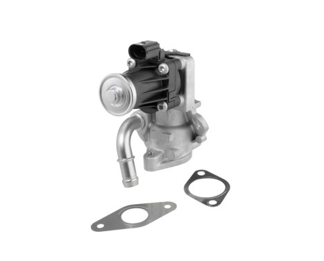 EGR valve 712017D Wahler