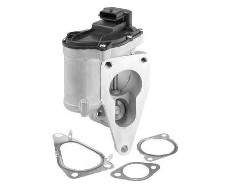 EGR valve 712018D Wahler