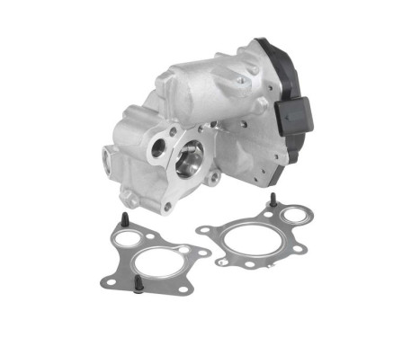 EGR valve 712019D Wahler