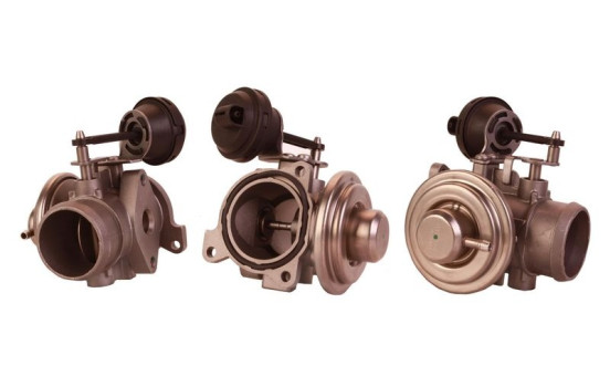 EGR valve 717710015 DRI