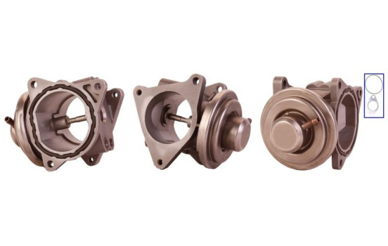 EGR valve 717710018 DRI