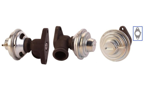 EGR valve 717710071 DRI