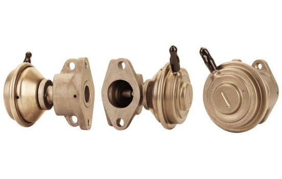 EGR valve 717710107 DRI