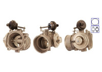 EGR valve 717710110 DRI