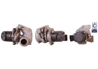 EGR valve 717720002 DRI