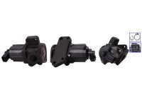 EGR valve 717720155 DRI