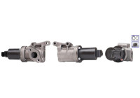 EGR valve 717720213 DRI
