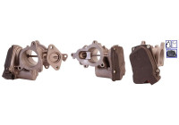 EGR valve 717730004 DRI