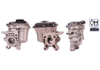 EGR valve 717730147 DRI