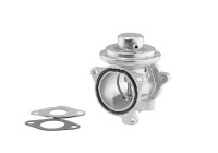 EGR valve 7271D/1 Wahler