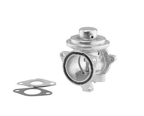 EGR valve 7271D/1 Wahler