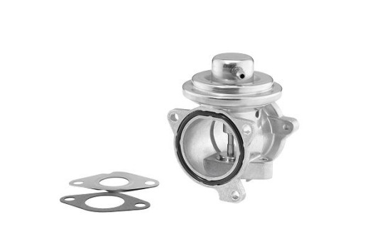 EGR valve 7271D/1 Wahler