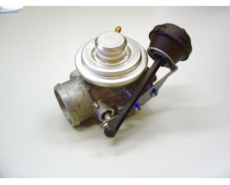 EGR Valve 7301D Wahler