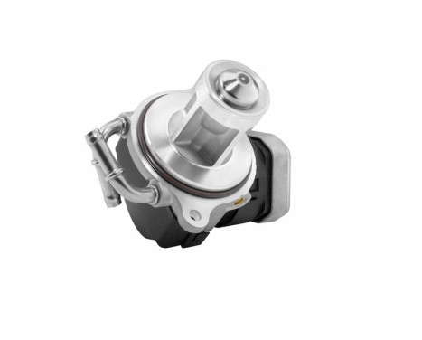 EGR valve 7504D Wahler